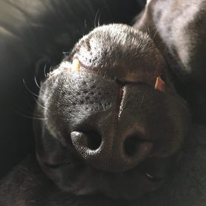 Meet your Posher, Rosa